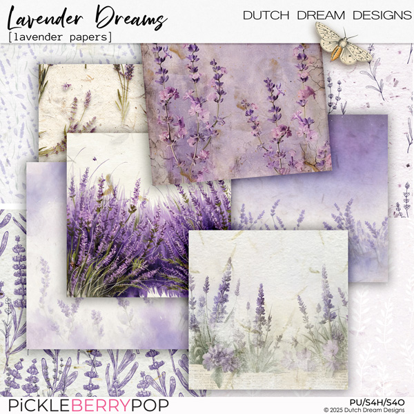 Lavender Dreams - Lavender Papers