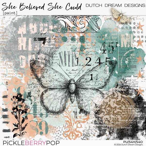 She Believed She Could - Paint