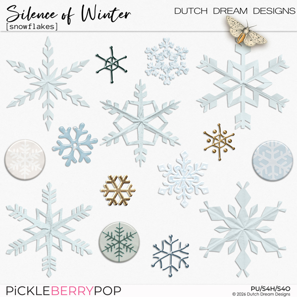 Silence of Winter - Snowflakes