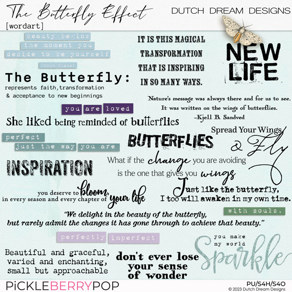 The Butterfly Effect - Wordart