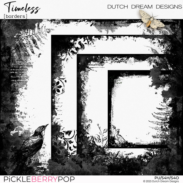 Timeless - Borders
