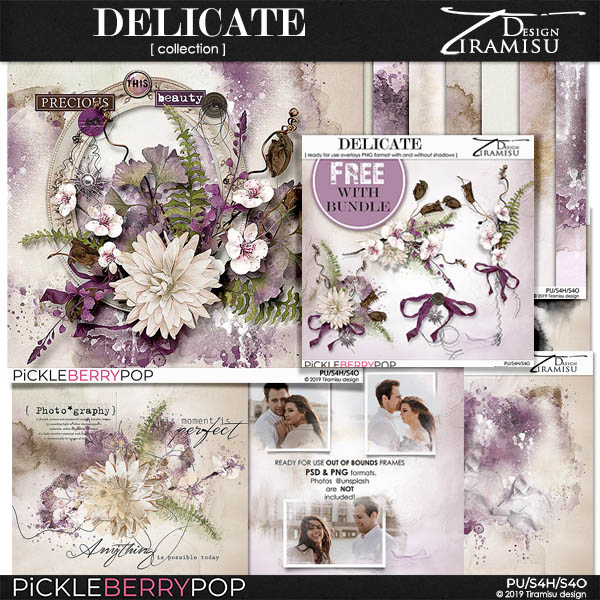 Delicate mini collection plus FREE GIFT  by Tiramisu design