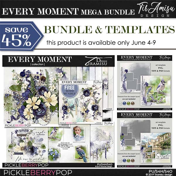 Every Moment Mega Bundle ~ limited time offer by Tiramisu design 