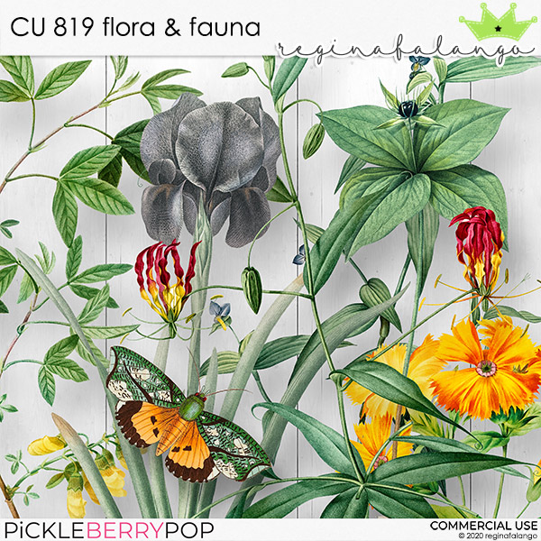 CU 819 FLORA & FAUNA