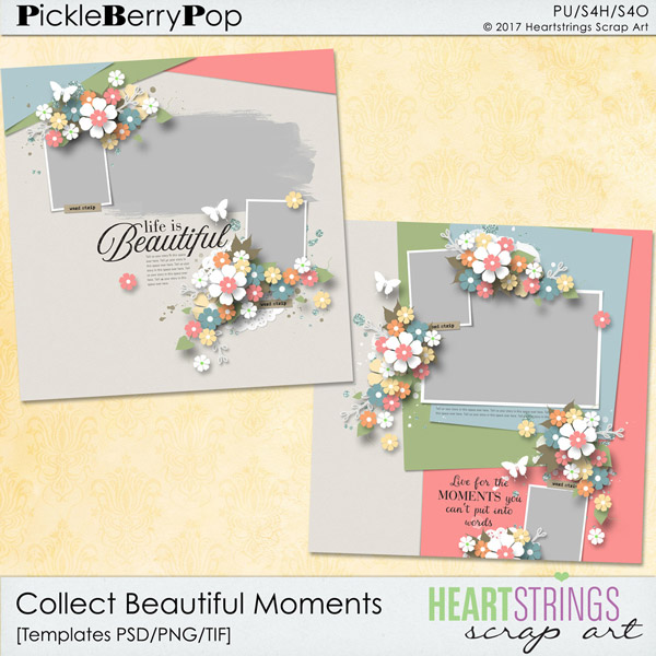 Collect Beautiful Moments Templates