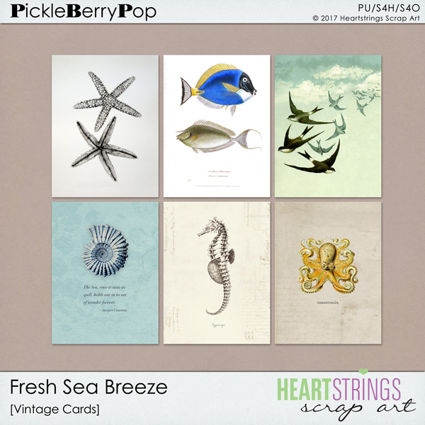 Fresh Sea Breeze Vintage Cards