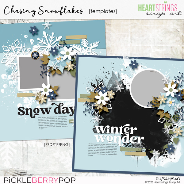 Chasing Snowflakes Templates