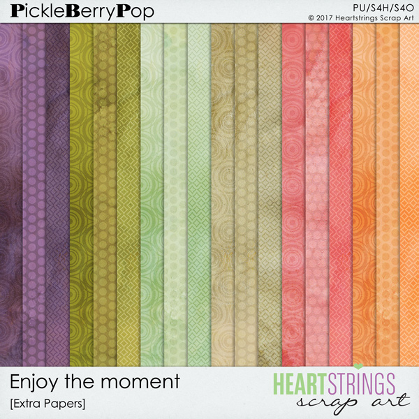 Enjoy the Moment Extra Papers