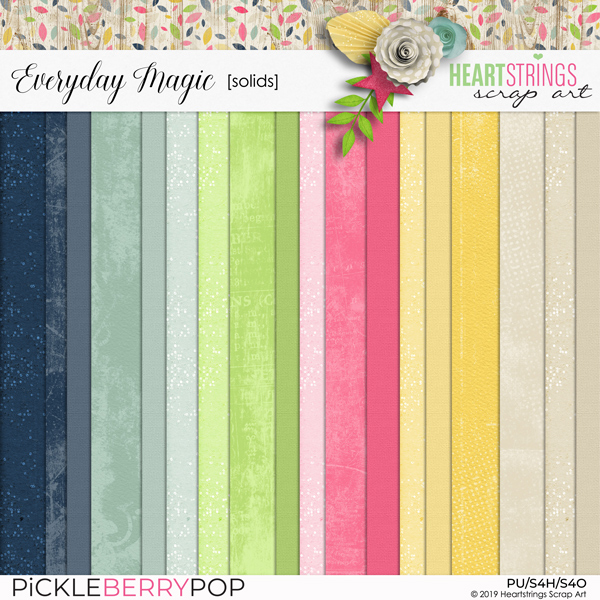 Everyday Magic Solids
