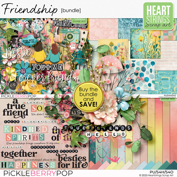 Friendship Bundle