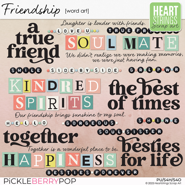 Friendship Word Art