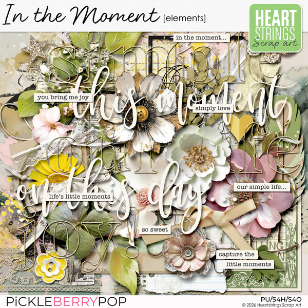 In the Moment Elements