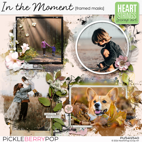 In the Moment Framed Masks