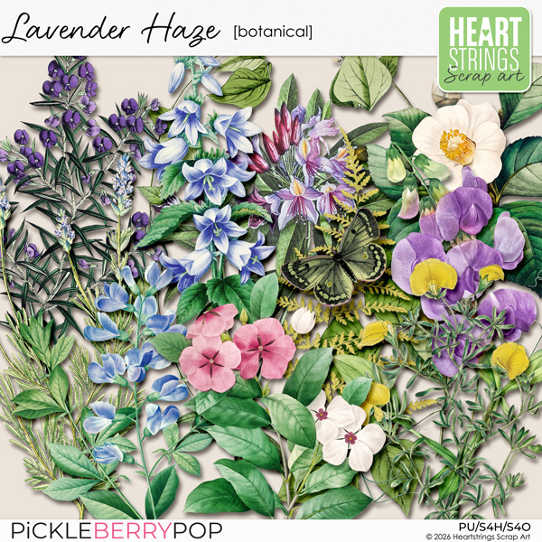 Lavender Haze Botanical