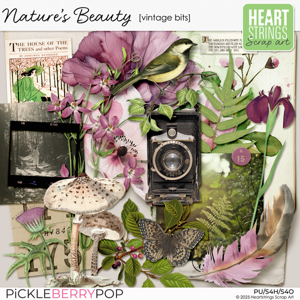 Nature's Beauty Vintage Bits