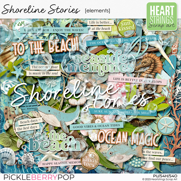 Shoreline Stories Elements