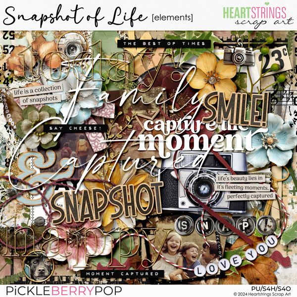 Snapshot of Life Elements