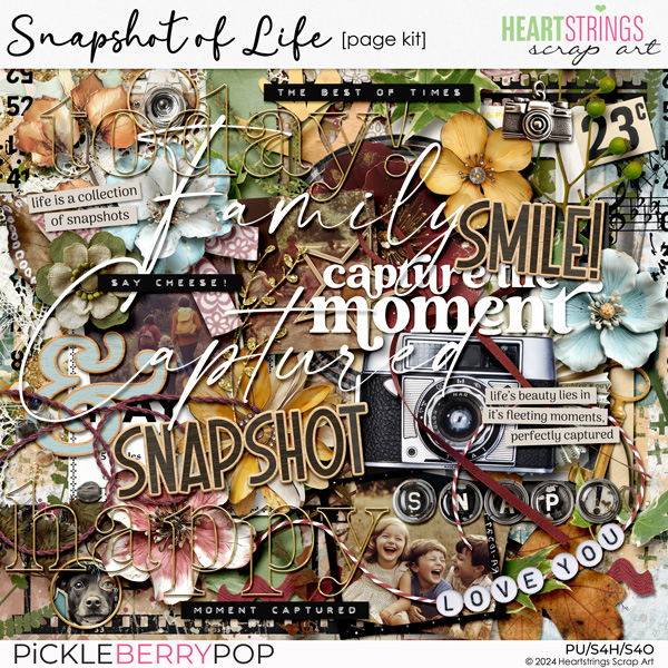 Snapshot of Life Page Kit