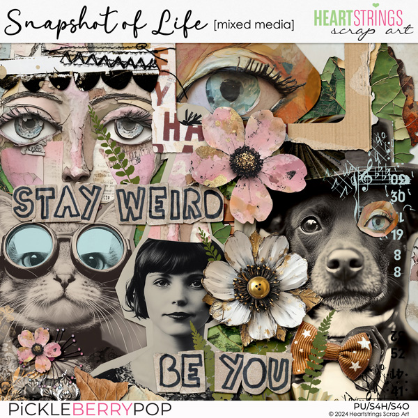 Snapshot of Life Mixed Media