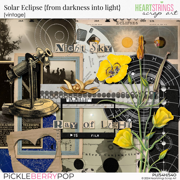 Solar Eclipse {from darkness into light} Vintage