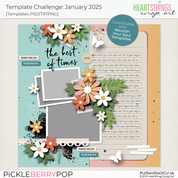 January 2025 Template Challenge