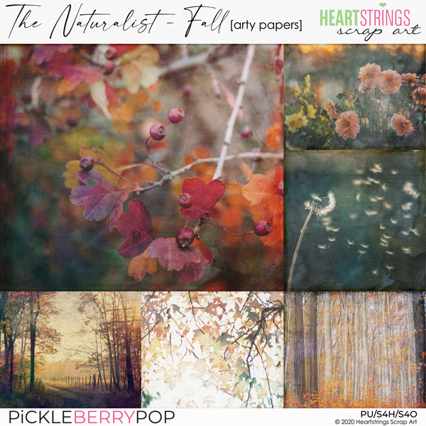 The Naturalist {Fall} Arty Papers