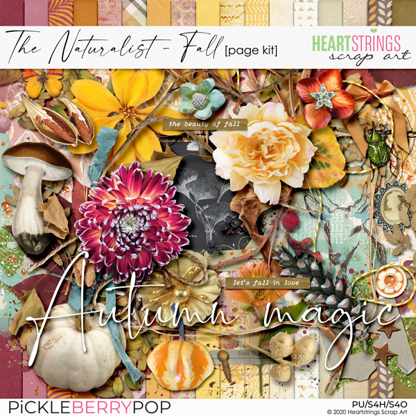 The Naturalist {Fall} Page Kit