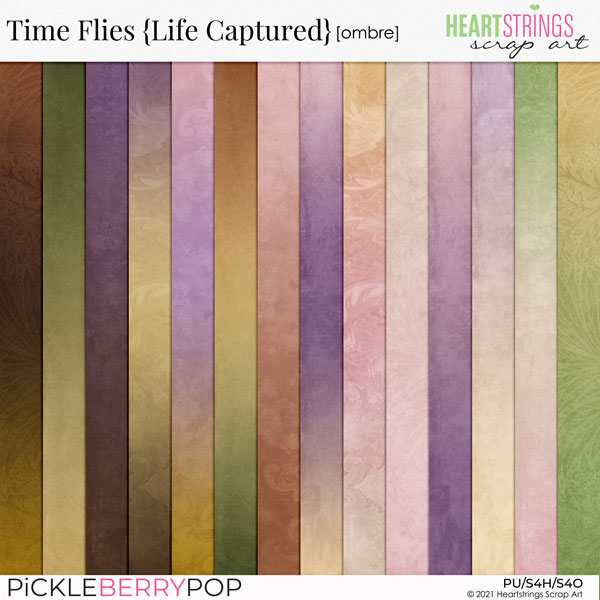 Time Flies {Life Captured} Ombre