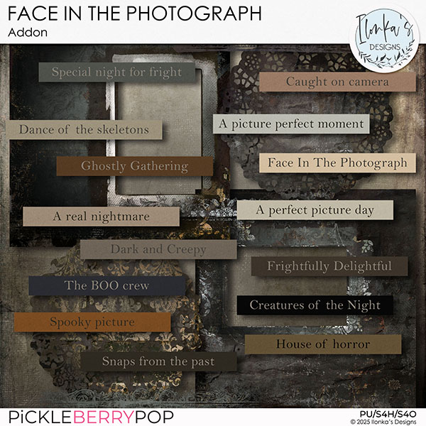Face In The Photograph Addon by Ilonka's Designs