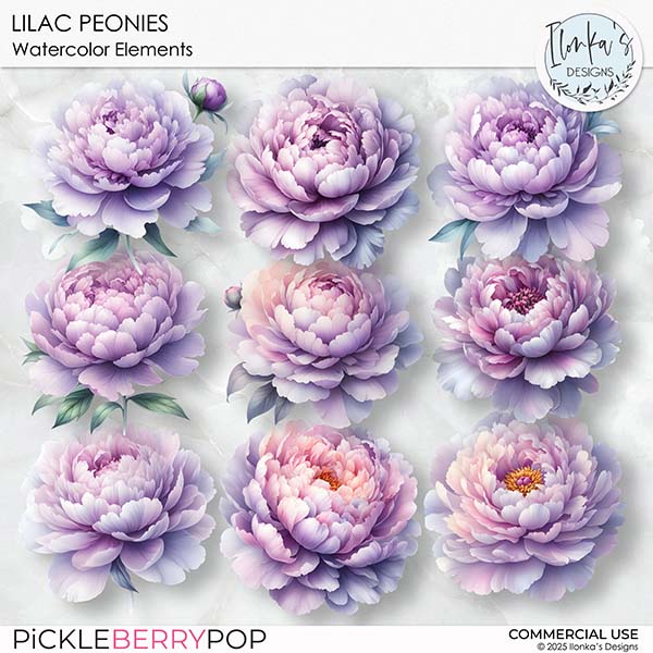 CU Watercolor Lilac Peonies by Ilonka's Designs 