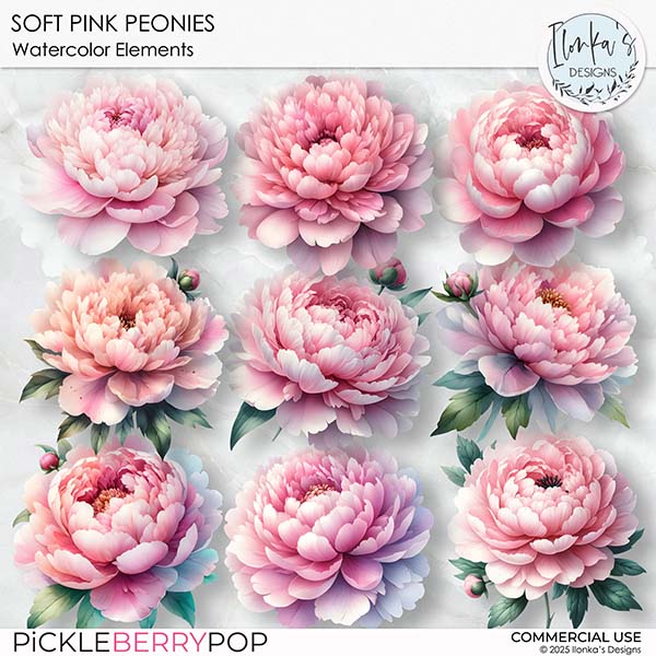 CU Watercolor Soft Pink Peonies by Ilonka's Designs