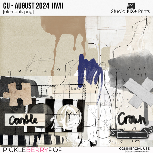 CU - August 2024 IIWII