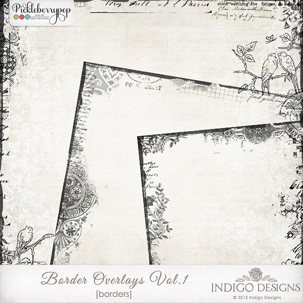 Border Overlays Vol.1 by Indigo Designs