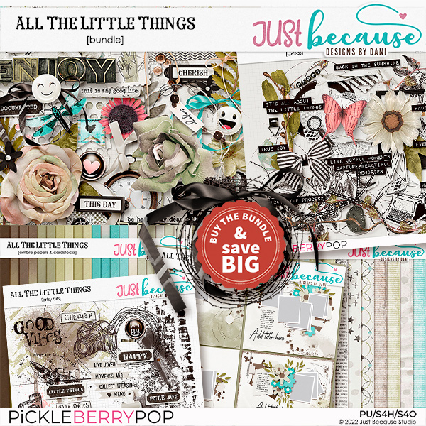 All The Little Things Bundle by JB Studio