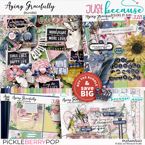 Aging Gracefully Bundle by JB Studio