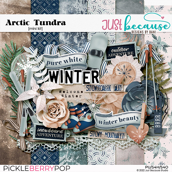 Arctic Tundra Mini Kit by JB Studio