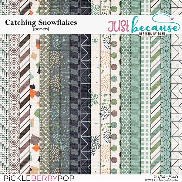 Catching Snowflakes Papers by JB Studio