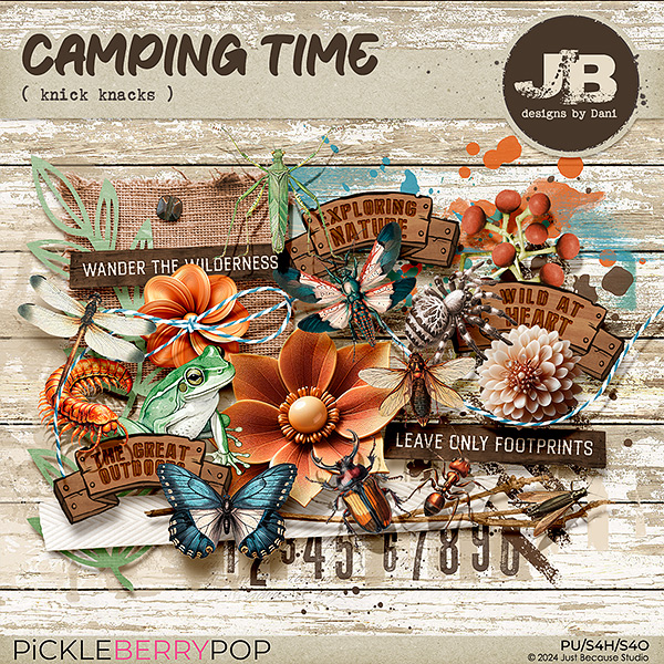 Camping Time Knick Knacks by JB Studio