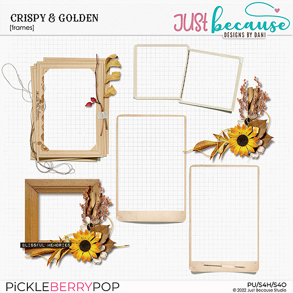 Crispy & Golden Frames by JB Studio