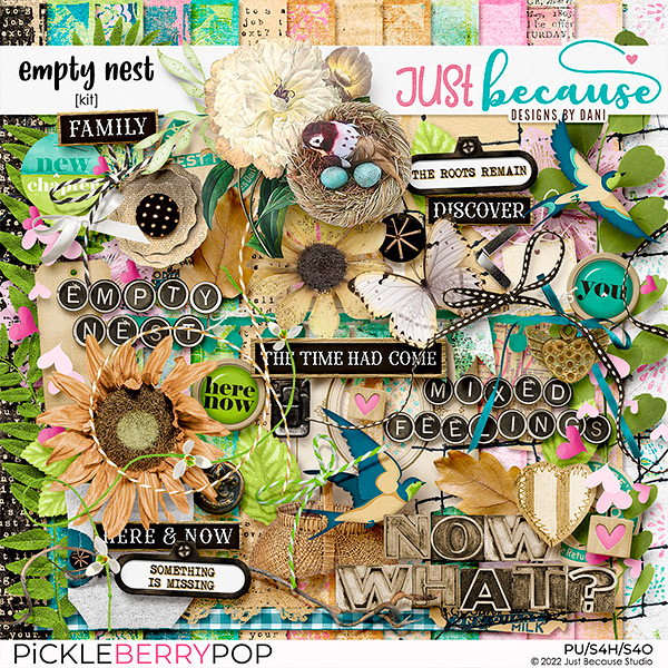 Empty Nest Kit by JB Studio