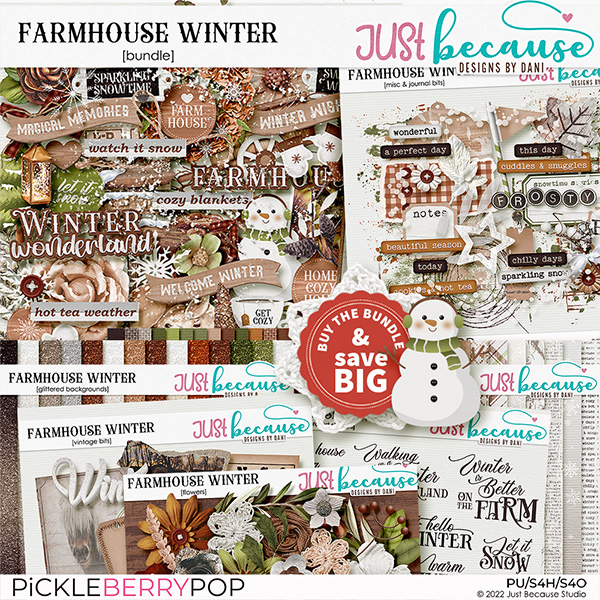 Farmhouse Winter Bundle by JB Studio