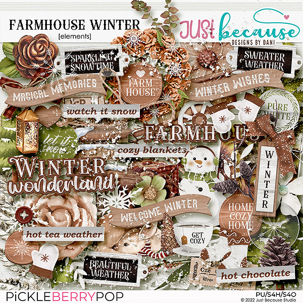 Farmhouse Winter Elements by JB Studio