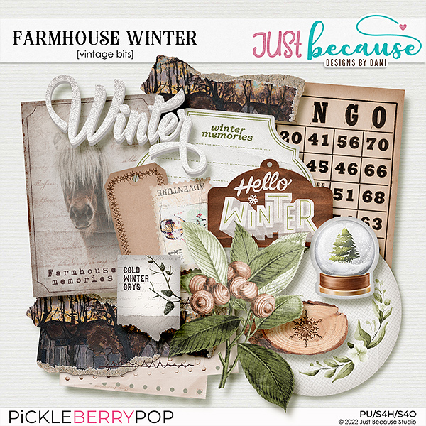 Farmhouse Winter Vintage Bits by JB Studio