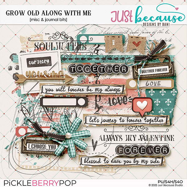 Grow Old Along With Me Misc & Journal Bits by JB Studio