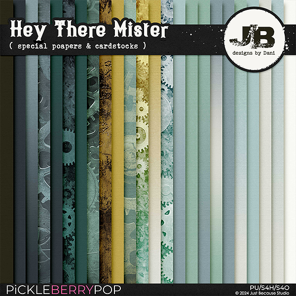 Hey There Mister Special Papers & Cardstocks by JB Studio