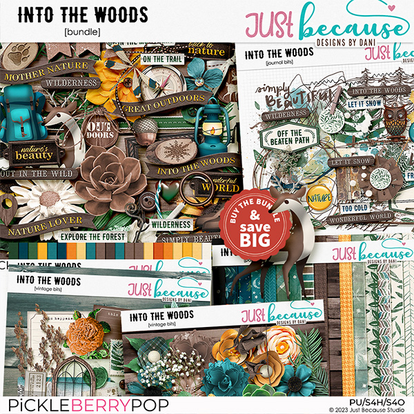 Into The Woods Bundle by JB Studio