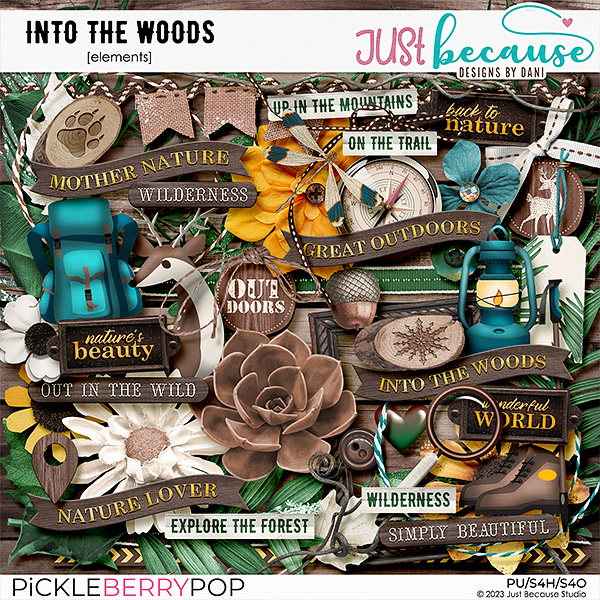 Into The Woods Elements by JB Studio