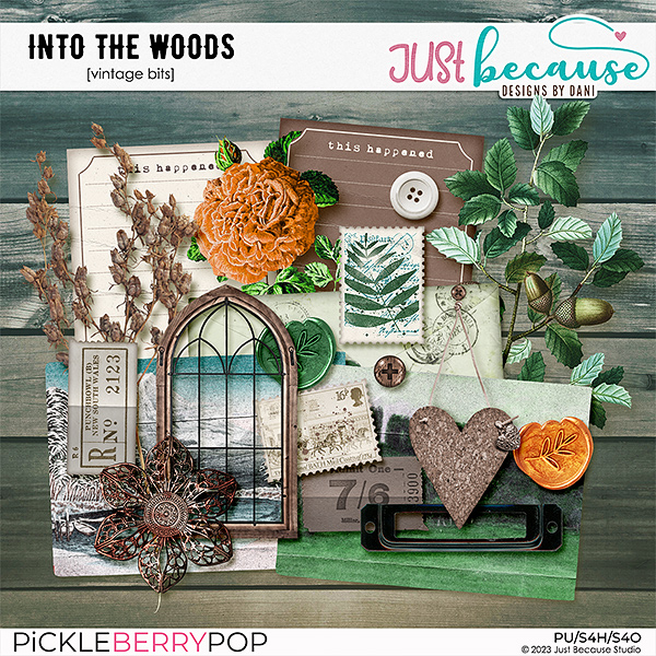 Into The Woods Vintage Bits by JB Studio