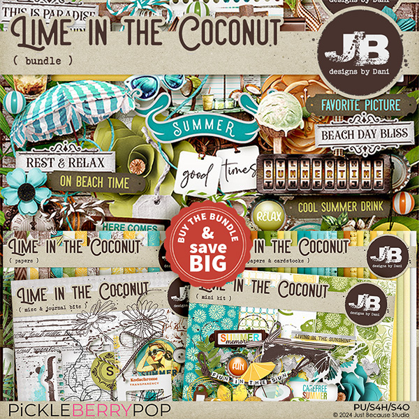 Lime In The Coconut Bundle by JB Studio