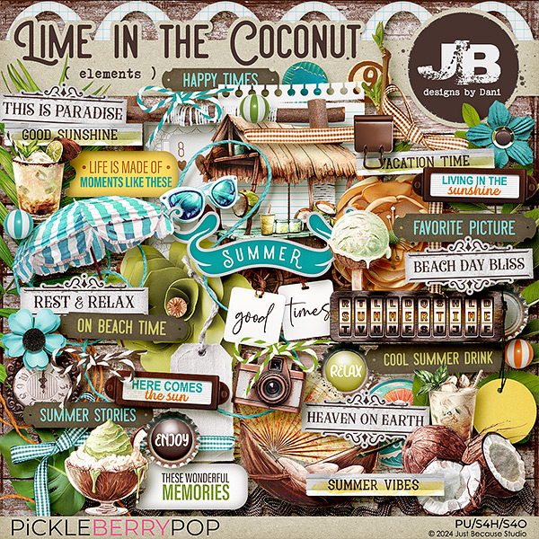 Lime In The Coconut Elements by JB Studio